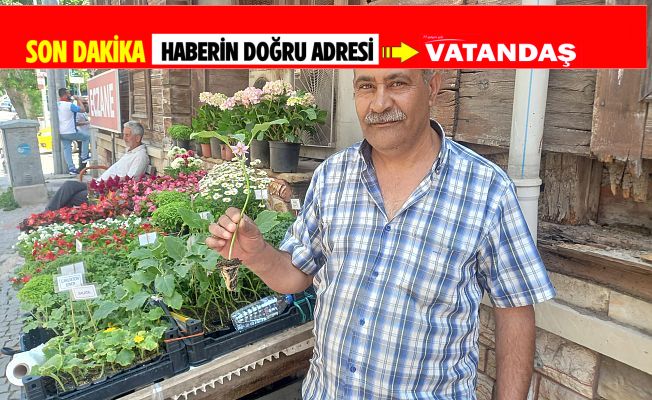 FİDELER KAPIŞ KAPIŞ GİDİYOR