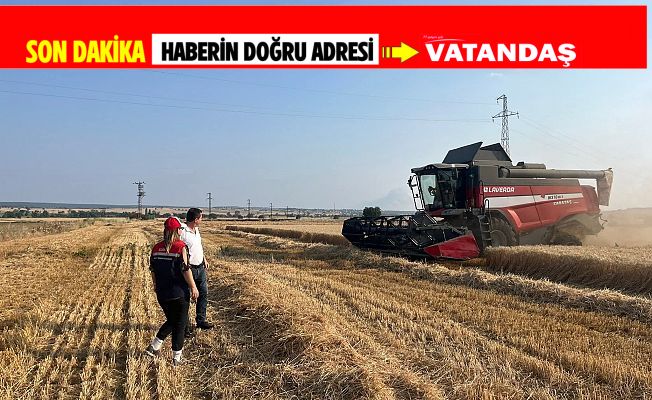 ENEZ’DE BUĞDAY HASADI BAŞLADI