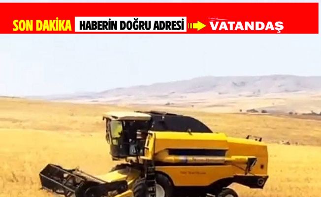 ALEV TEHLİKESİNE KARŞI ZAMANLI HASAT