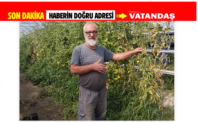 FAHİŞ KİRA ARTIŞI SERAYI SUSUZ BIRAKTI