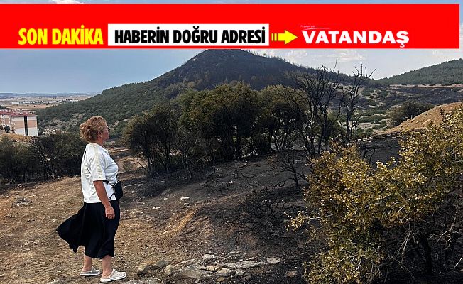 ÇOĞAL “KEŞAN’DAKİ YANGIN EKOSİSTEME ZARAR VERDİ"