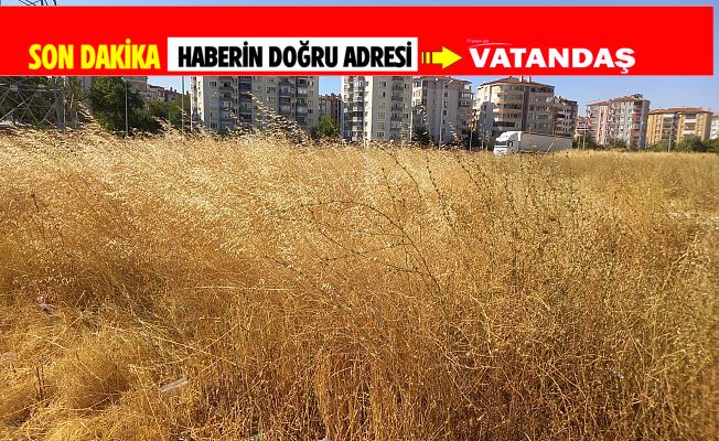 BOŞ ARSALARLA İLGİLİ KARARLI ADIM