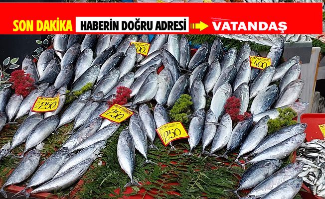 BALIK FİYATLARI UÇTU