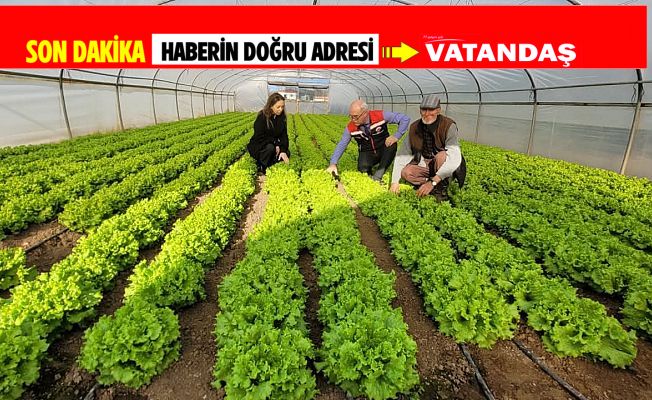 ÜRETİCİYE YERİNDE DESTEK