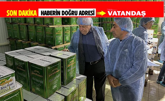 BEYAZ PEYNİR TANITILDI